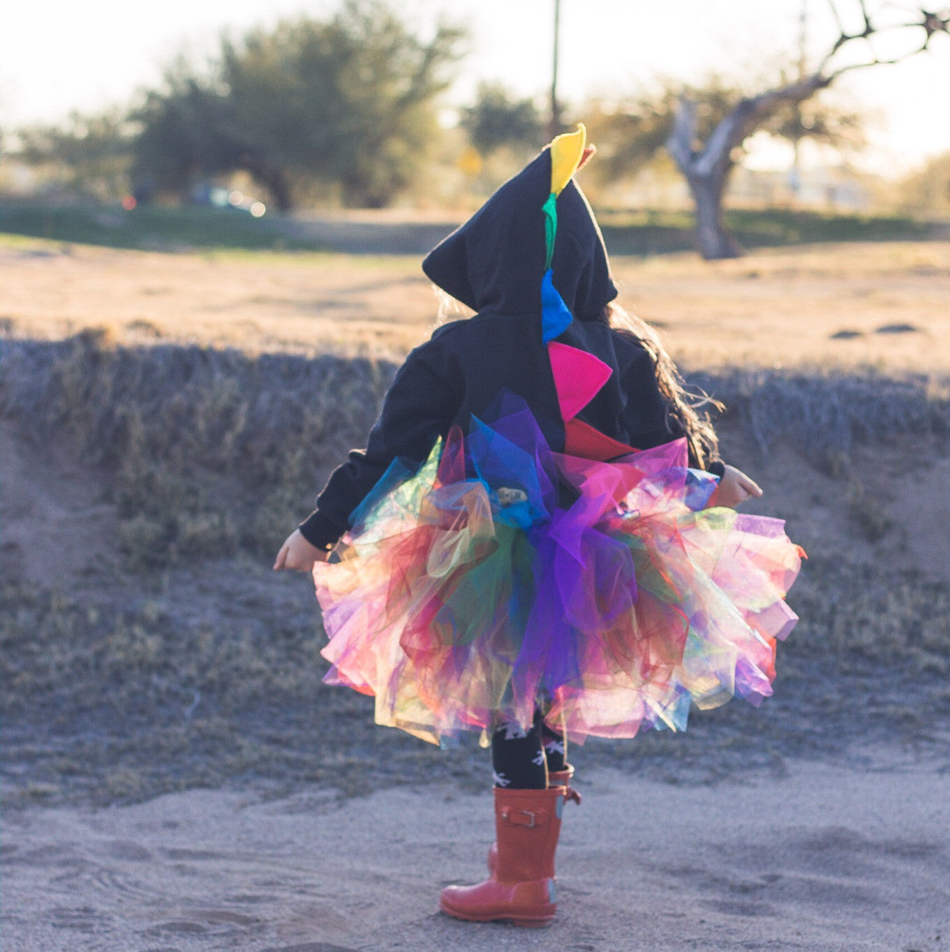 Rainbow Dinosaur Hoodie - Black