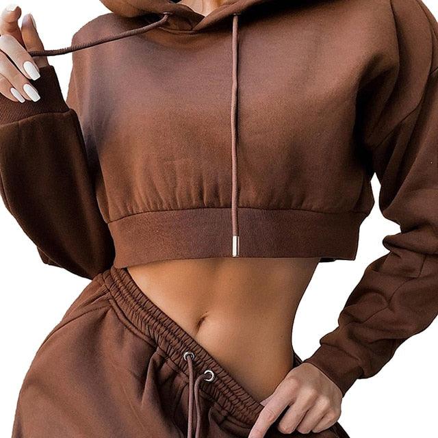 Women's 2 Piece Set Casual Sport Outfits Tracksuit With Hoodie - Breathable and Stylish